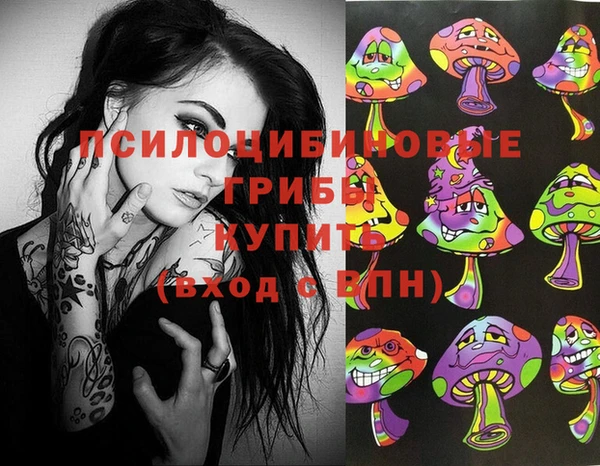 MDMA Белокуриха